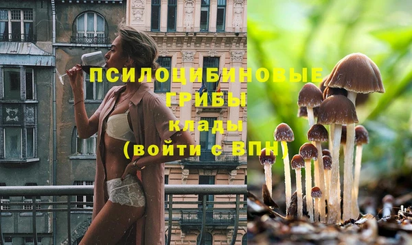 а пвп мука Беломорск
