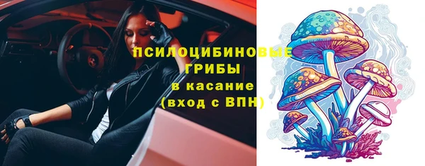 дживик Семикаракорск